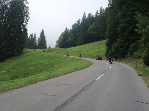 IMG 7007